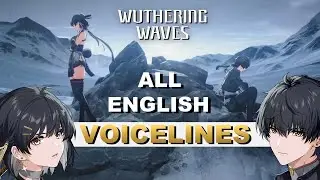 ALL English Voicelines for Rover | Wuthering Waves