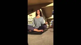 Yoga Stretches with Ellie & Sierra