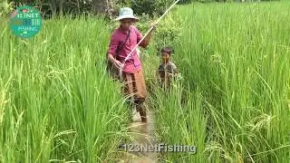 Cambodia Tools Fishing - How to hunting fishing fish - Khmer  Traditional Net Fishing