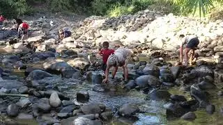 Catching Fish 4 Family Picnic🤤