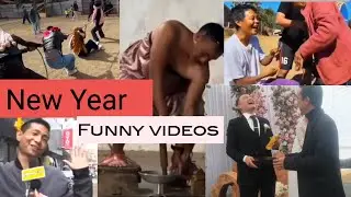 New year funny videos collection 