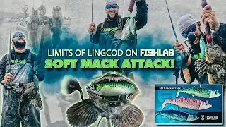 &ldquo;LIMITS of LINGCOD on FishLab Soft Mack Attack! (7 of 8 Keepers + PB Cabezon)&rdquo;