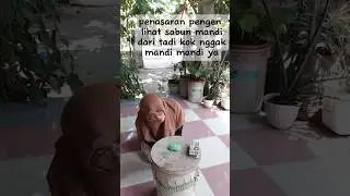 Sabun mandi, apa malu ya karena ku lihatin #lucu #humor #sabun #viral #fyp