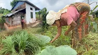 Rural Life of the Unseen East Nepal | Millet planting | Organic Video | BijayaLimbu