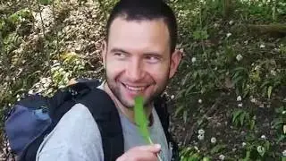 Me&scaron;kinis česnakas žydi