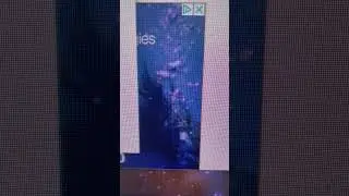 Faint upwardly-moving scan lines on LCD monitor (VGA connected via kvm switch)