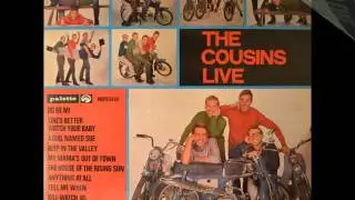 The Cousins - Pep's [LP Live version/drum solo] 1964