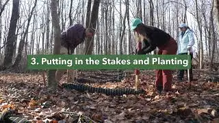 How To Install Compost Socks for Erosion Control