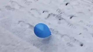 Surprise - Blue 131
