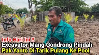 Kali Di Purwadana Bikin Bingung Bebek Berenang Pak Yanto Berhenti Ngeruk