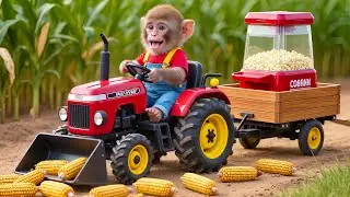 🐒🚜 Baby Monkey Nana Drives Tractor to Harvest Corn and Make Popcorn Crazy Adventure 😲🍿