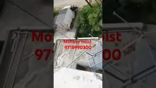 #monkey hoist#machine #dns #construction #monkey #short video #automobile #earthmover