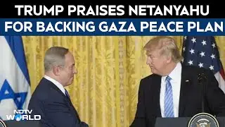 Israel Hamas War | Donald Trump Praises Netanyahu For Backing 20‑Point Gaza Plan