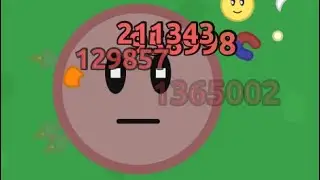 The new florr.io update in 1 minute