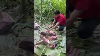 Pork being slaughtered in a hill tribe village