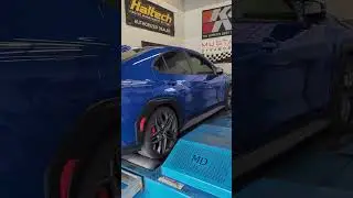 Sick TR Edition!! 2024 Subaru TR WRX Dyno Tuning Session - Cobb Access Port V3 - Custom Dyno Tune
