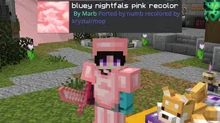 Rating Texture Packs In Bedwars Games, bluey nightfall pink recolour [Hive]