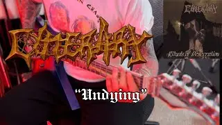 Cinerary - Undying - Guitar Cover