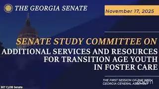 11/17/2025 Additional Services and Resources for Transition Age Youth in Foster Care Study Committee