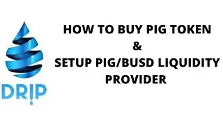 How to buy Pig token and setup PIG/BUSD LIQUIDITY PROVIDER that works as passive Income.