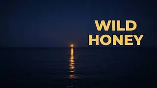 Ultra Chill Afrobeat Instrumental &middot; Deep Night Flow &middot; WILD HONEY RHYTHM