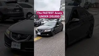 My Thoughts on the FASTEST Acura under $10,000 (TL Type-S)