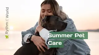 Keep Pets Cool in Summer: Safety Tips Every Owner Should Know @RythmoftheWorld