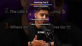 Top 3 Funniest Concerning Questions!