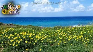 🌼 Conscious | Mood: Aware and Open | Prod. Joenar Beats x EthanDeetzMusic