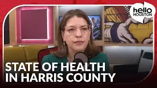 Improving maternal infant health, health disparities & public health in Harris County, Texas