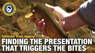 Tailwater Trout Jigging (trout fishing)