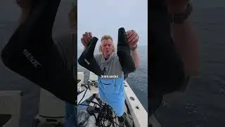 Come shoot bluefin tuna with me