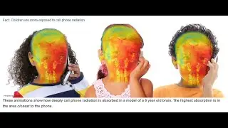 Children mobile phone RF is two times higher in the brain & 10 times higher in the bone marrow facts