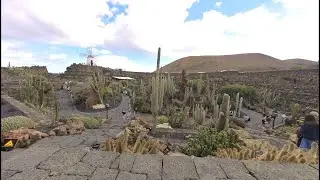 Der Cesar Manrique Kaktusgarten