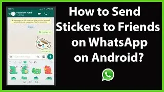 How to Send Stickers to your Friends in WhatsApp on Android?