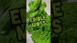 ПРОСТОЙ РЕЦЕПТ 💚СЪЕДОБНОГО МХА💚