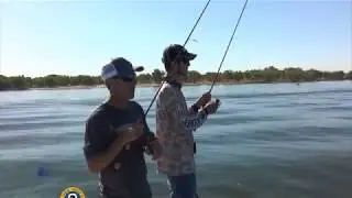 Blade Baits for structure fishing walleyes (fishing lures)