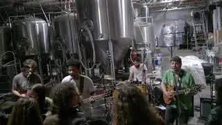 Medicine Fish - &ldquo;Sample In A Jar&rdquo; (Phish cover, live at Barrier Brewing Co., 4/20/2018)