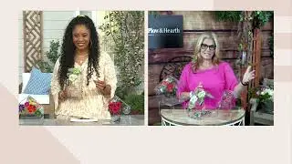 Plow & Hearth Clear Window Bird Feeder w/ Floral Design on QVC