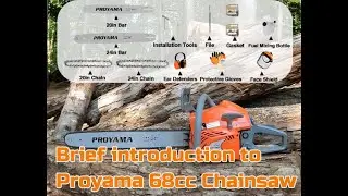 PROYAMA 68CC Gas Chainsaw &ndash; Unboxing and Overview