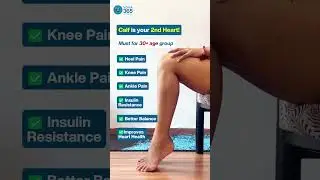 Calf Raises Benefits | Boost Circulation & Leg Strength Naturally