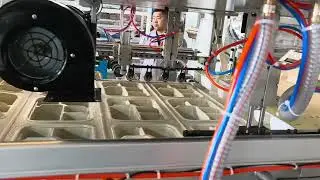 Biodegradable 5CP Meal Tray Food Plate Making Automatic Thermoforming Machine