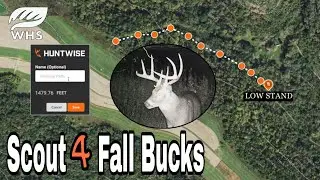 How To Scout Summer Bucks 4 Fall