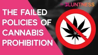 The Failed Policies of Cannabis Prohibition | The Edge ft Sen. Liz Krueger