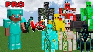 Minecraft player Vs golem