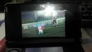 Zapdos sweep.   Zapdos sweeper OP.