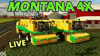 🟡Time to harvest peas and plant Green beans -  on Montana 4X #06