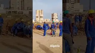 shapoorji pallonji algeria strack 3/sep/2022