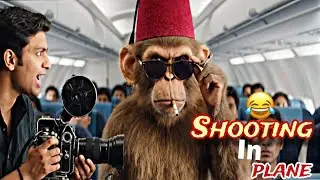 Pagal bundar plane main shooting krte hoe 😂 | Monkey funny video | Monkey vlog by BindasBillo 