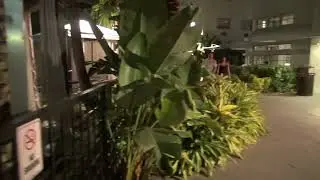 Miami 2023 - hotel KENMORE